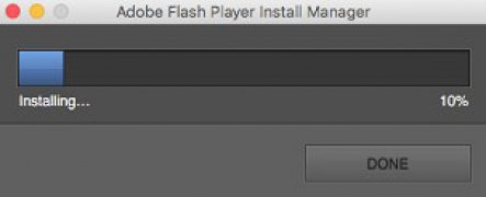 adobe flash player for i mac